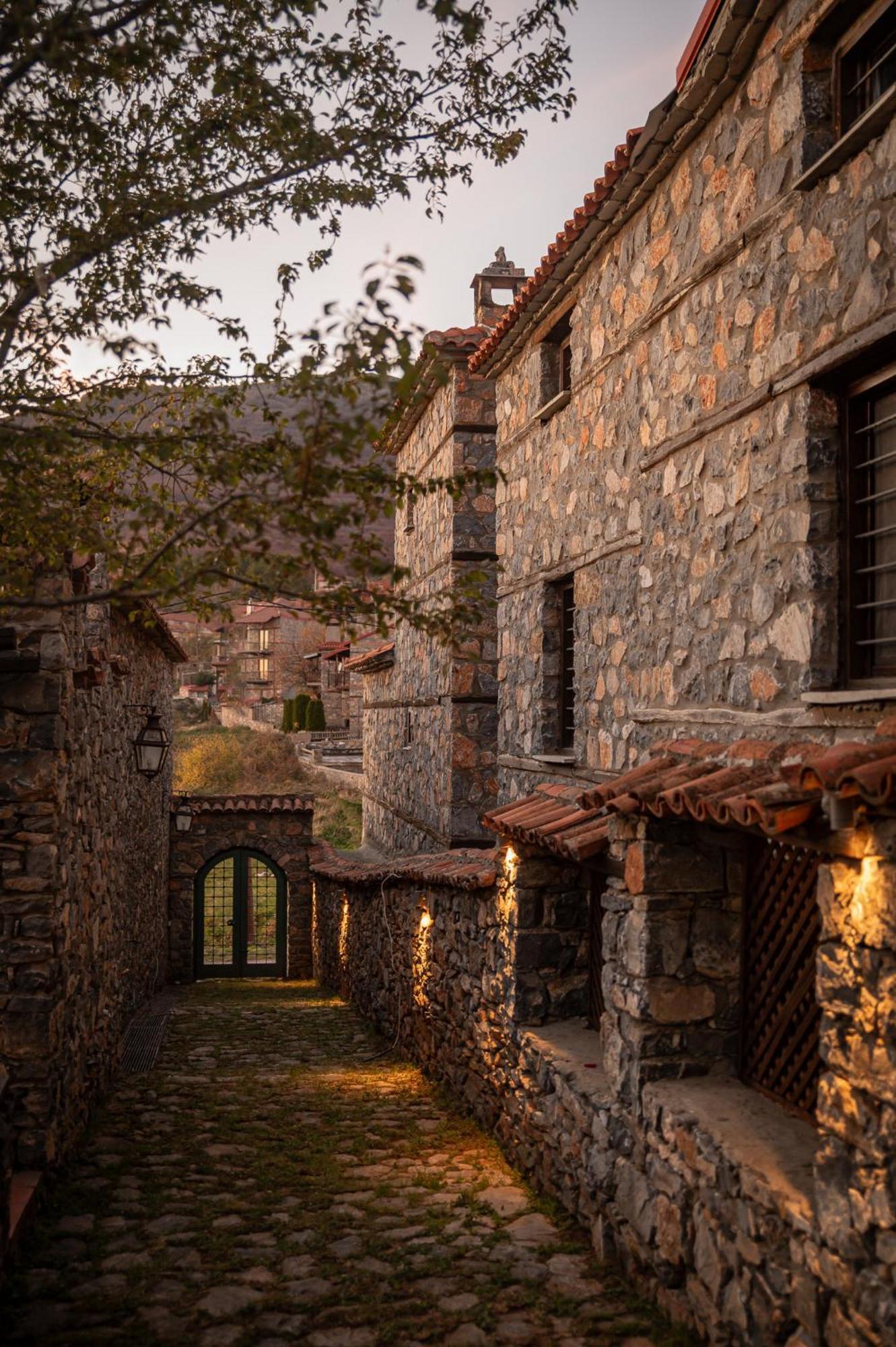 4 Seasons Premium Chalet Agios Athanasios  Bagian luar foto